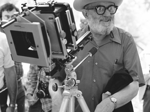 Ansel Adams: el poeta visual de los paisajes americanos